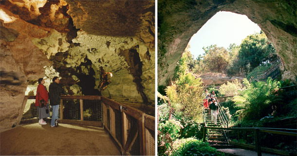 Engelbrecht Cave